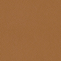 イージーチェア Highタイプ<br>grade L<天然皮革>