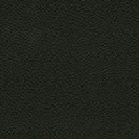 イージーチェア Highタイプ<br>grade L<天然皮革>