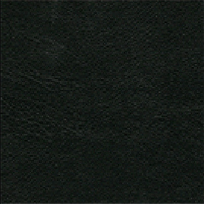 イージーチェア Highタイプ<br>grade V<ビニール>